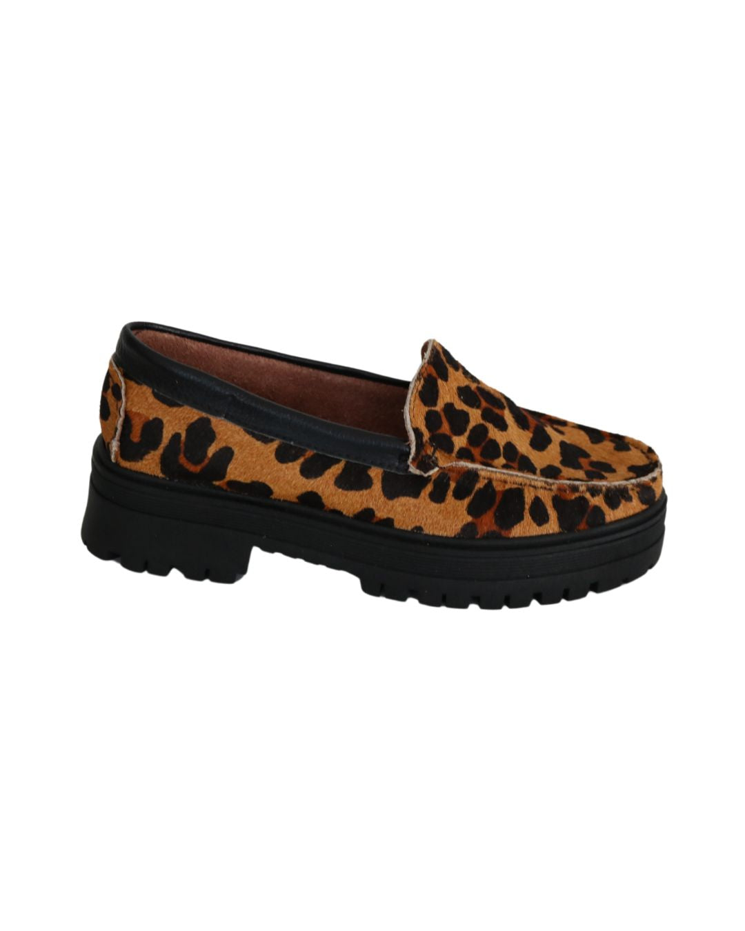 Animal Print / 34