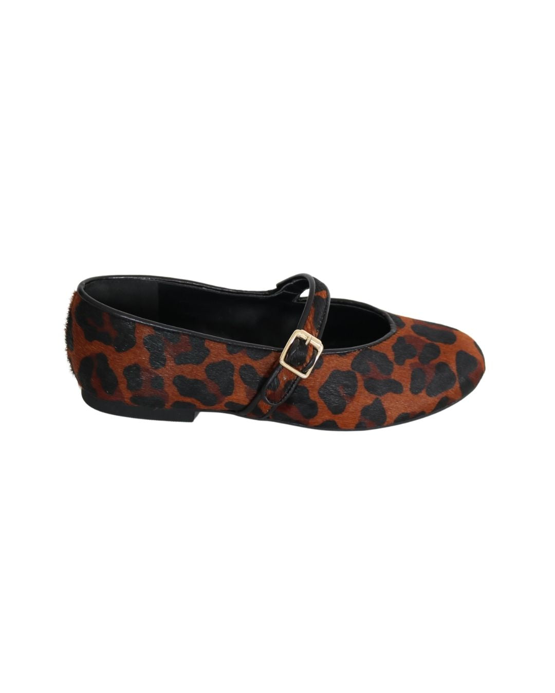 Animal Print / 34