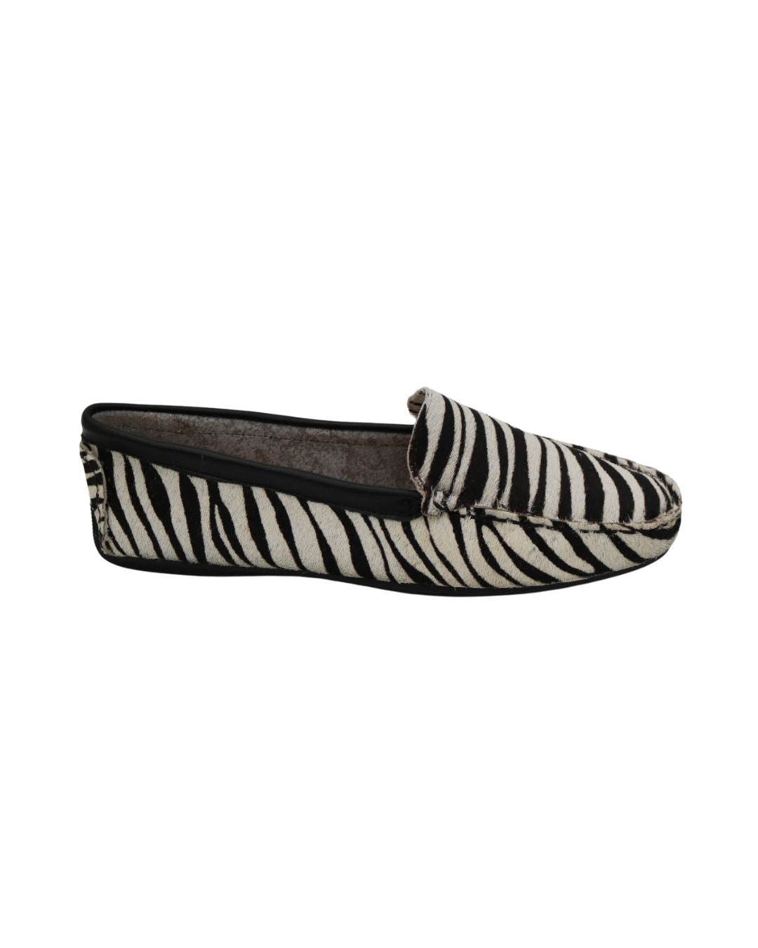 Zebra / 34