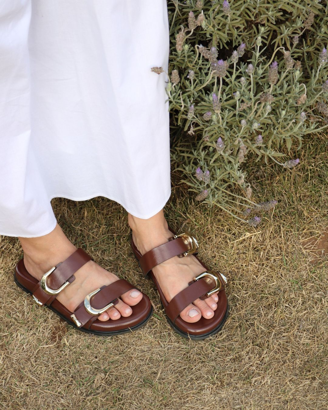 Birken Blake