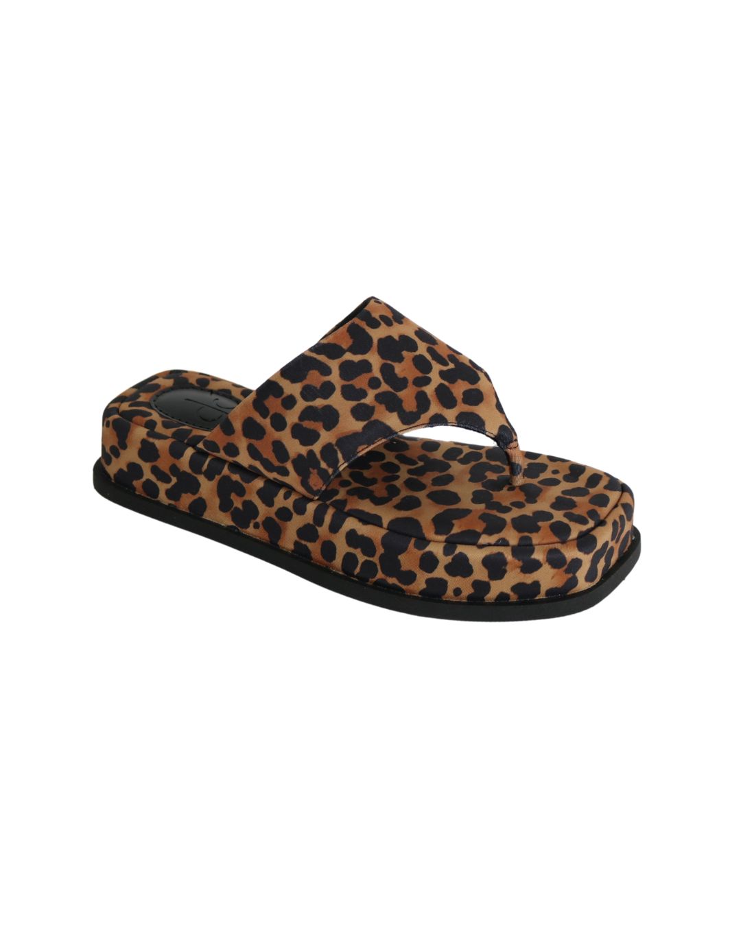Animal Print / 34